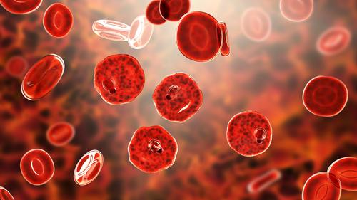 Paulo Christoff Em Educadores Do Enem